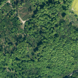 Satellite imagery of Eichberg, DE