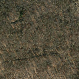 Satellite imagery of Dornberg, DE