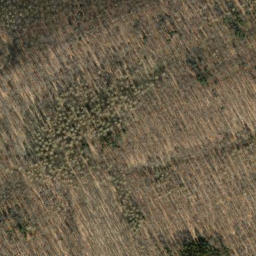 Satellite imagery of Hohe Warte, DE