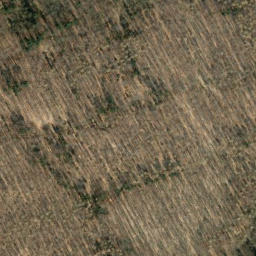 Satellite imagery of Hohe Warte, DE