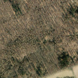 Satellite imagery of Hohe Warte, DE