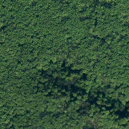 Satellite imagery of Falkenstein, DE