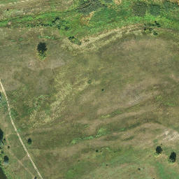 Satellite imagery of Psarskie - Pałac neogotycki XIX w., PL