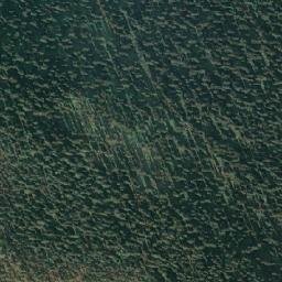 Satellite imagery of Tsar Mountain, CA