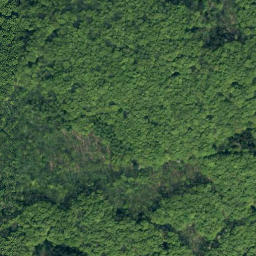 Satellite imagery of Falkenstein, DE