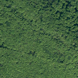 Satellite imagery of Falkenstein, DE