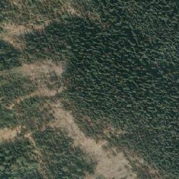 Satellite imagery of Tsar Mountain, CA