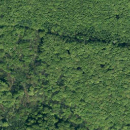 Satellite imagery of Falkenstein, DE