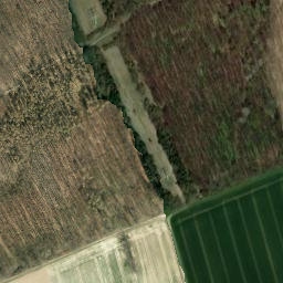 Satellite imagery of Elberberg, DE
