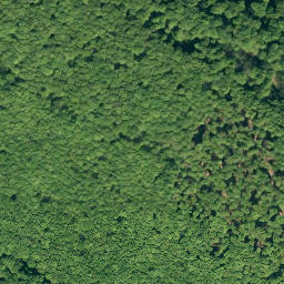Satellite imagery of Hohenstein, DE