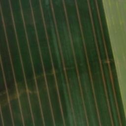 Satellite imagery of Hufenberg, DE