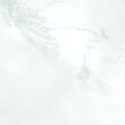 Satellite imagery of Snowside Mountain, CA