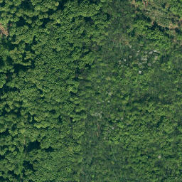 Satellite imagery of Mönchenstein, DE