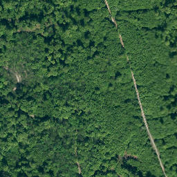 Satellite imagery of Mönchenstein, DE