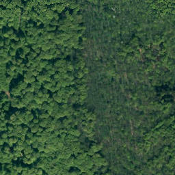 Satellite imagery of Mönchenstein, DE