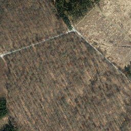 Satellite imagery of Wohlberg, DE