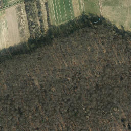 Satellite imagery of Kanzelberg, DE