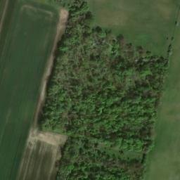 Satellite imagery of Tannenberg, DE