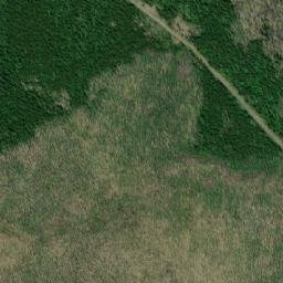 Satellite imagery of Mount Alex Graham, CA