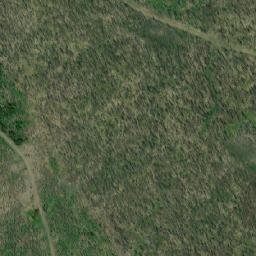 Satellite imagery of Mount Alex Graham, CA