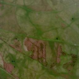 Satellite imagery of Maesgwyn mound, GB