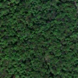 Satellite imagery of Eichenberg, DE