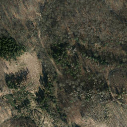 Satellite imagery of Kanzelberg, DE