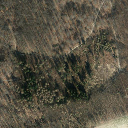 Satellite imagery of Kanzelberg, DE