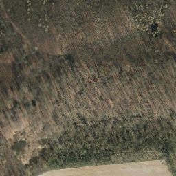 Satellite imagery of Königsberg, DE