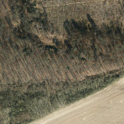 Satellite imagery of Königsberg, DE