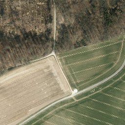 Satellite imagery of Königsberg, DE