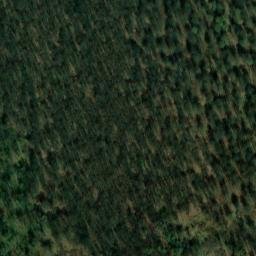 Satellite imagery of Schellenberg, DE