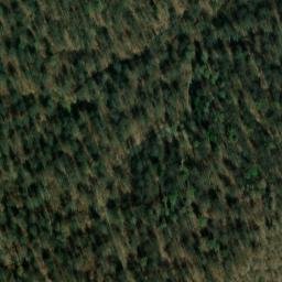 Satellite imagery of Schellenberg, DE