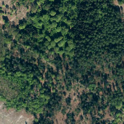 Satellite imagery of Riepen, DE