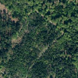 Satellite imagery of Riepen, DE