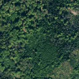 Satellite imagery of Riepen, DE