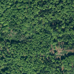 Satellite imagery of Schmiedebrink, DE
