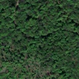 Satellite imagery of Eichenberg, DE