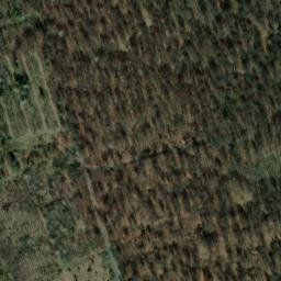 Satellite imagery of Kahlenberg, DE