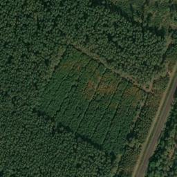 Satellite imagery of Lerchenberg, DE