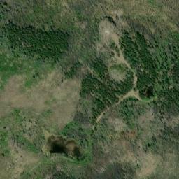Satellite imagery of Mount Alex Graham, CA