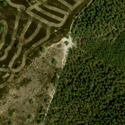 Satellite imagery of survey_point, NL