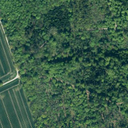 Satellite imagery of Schmiedebrink, DE