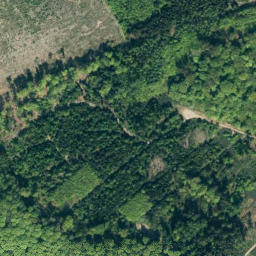 Satellite imagery of Obensburg, DE