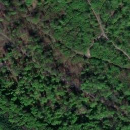 Satellite imagery of Eichenberg, DE