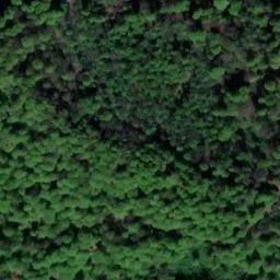 Satellite imagery of Tosmarberg, DE