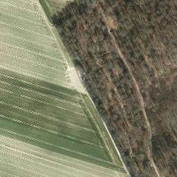 Satellite imagery of Königsberg, DE