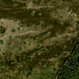 Satellite imagery of IJkbasis Loenermark, NL