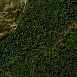Satellite imagery of survey_point, NL