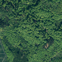 Satellite imagery of Obensburg, DE